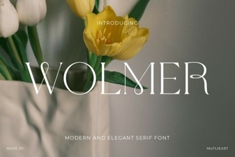 Wolmer Font: Modern Versatile Typography for Bold Designs
